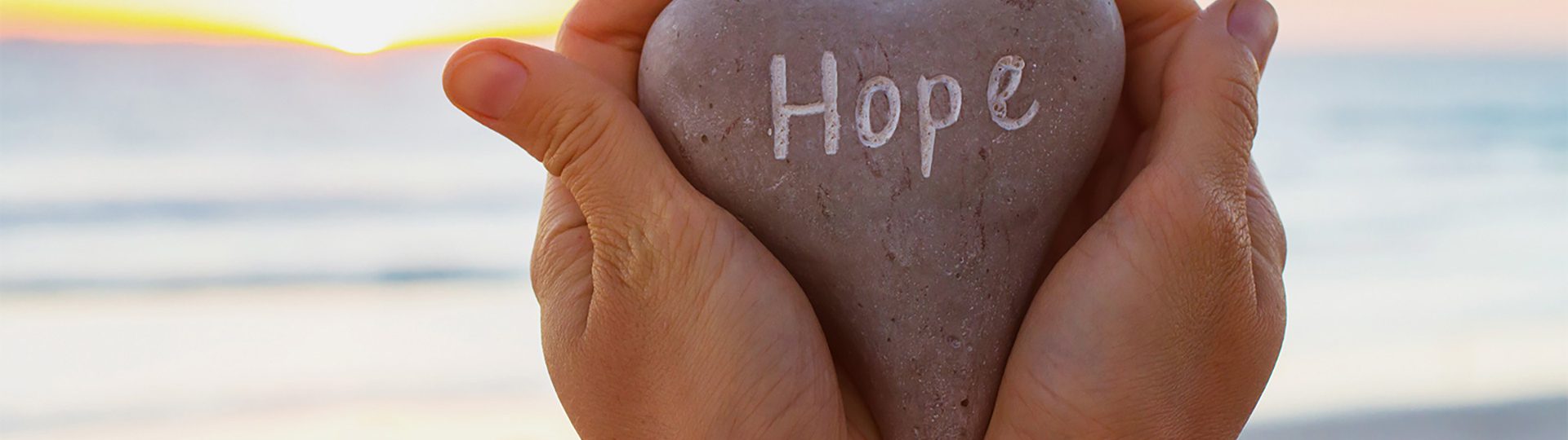 Hope Sheds Light - Hope Partners